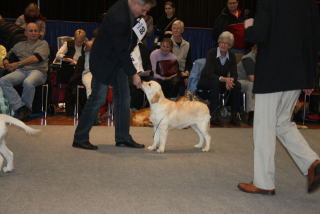 Wettingen 2009 2100008.jpg